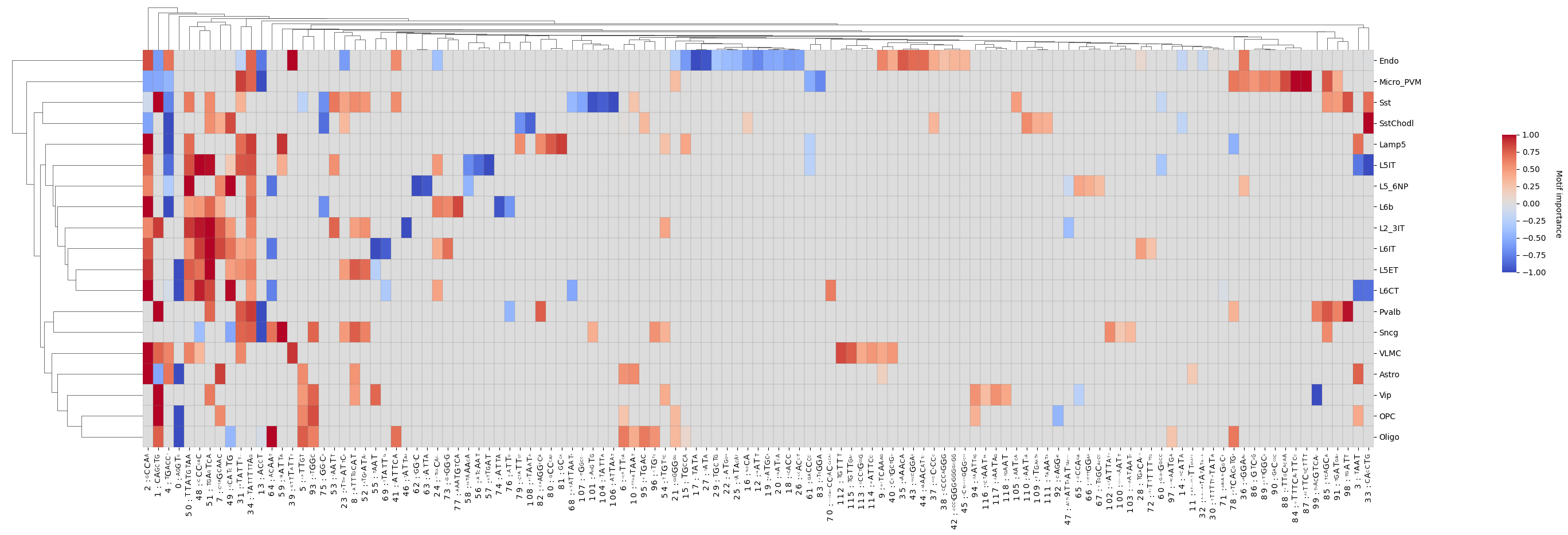 ../../_images/modisco_clustermap.png